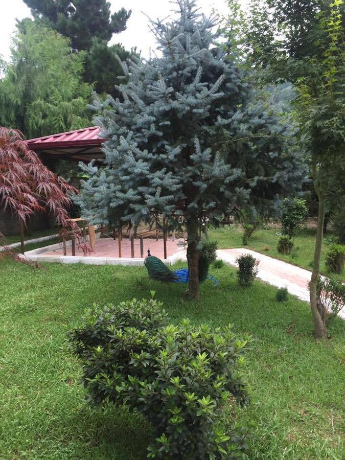 Vacation Home Nukri Gonio Exterior foto