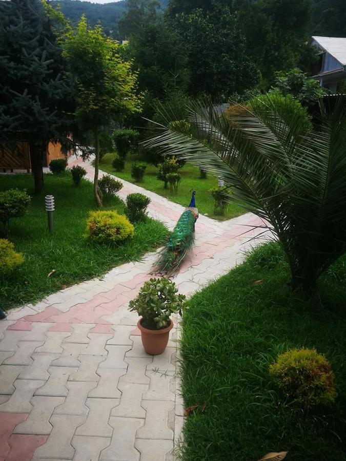 Vacation Home Nukri Gonio Exterior foto